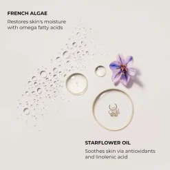B&B Hand Lotion Ambre Vanillé