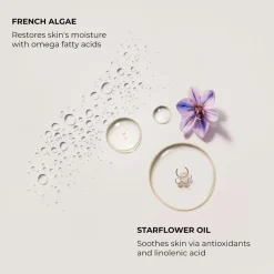 B&B Serum Body Cream Ambre Vanille