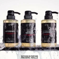 Bigarade Concentre Hand Wash