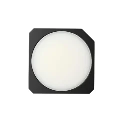 Blackberry & Bay Solid Scent Refill