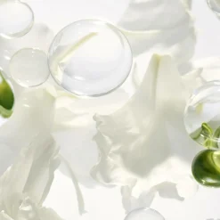 Blanc Peony Eye Serum Dark Spot Corrector
