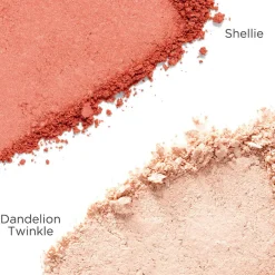 Blush 'n Twinkle - Mini Duo aus Shellie Rouge & Twinkle Highlighter