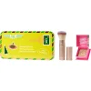 Blushes Iconic Set - Terra Spark Rouge & Multitasking Cheek Brush