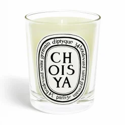 Choisya