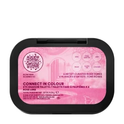 Connect In Eyeshadow Palette