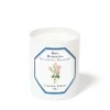 Damask Rose
