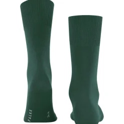 FALKE ClimaWool Herren