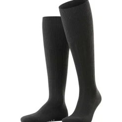 FALKE Lhasa Rib Herren