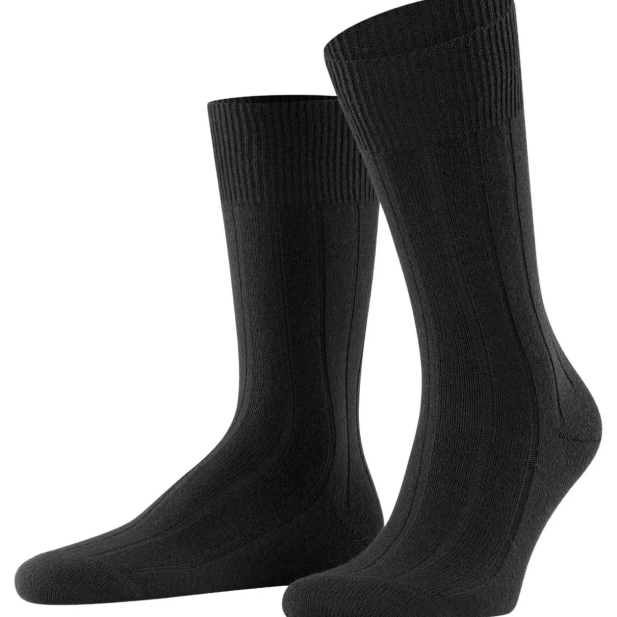 FALKE Lhasa Rib Herren
