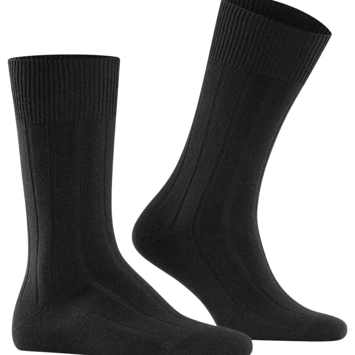 FALKE Lhasa Rib Herren