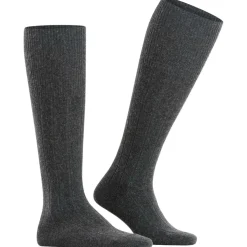 FALKE Lhasa Rib Herren