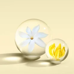 Flora Luminare