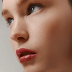 Glänzender Lippenstift Silky, Rose Épicé