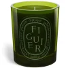 Green Figuier