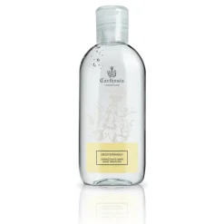 Hand Sanitizer