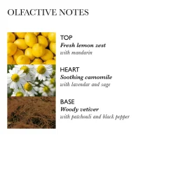 Hydrating Shampoo With Camomile