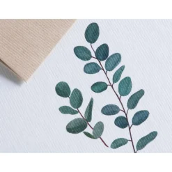 Karte Botanicals - Eukalyptus