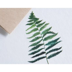 Karte Botanicals - Farn