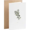 Karte Botanicals - Olive