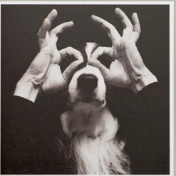 Karte Hund