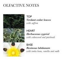 Labdanum Dusk Hair Mist