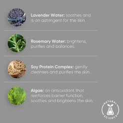 Lavender Foam Cleanser
