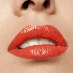 Liquid Lipstick Vinyl Liquid Pride 191