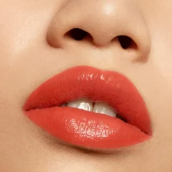 Liquid Lipstick Vinyl Liquid Pride 191
