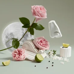 Luna Body & Hand Wash