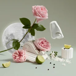Luna Handcreme