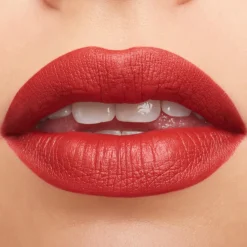 Macximal Matte Lipstick