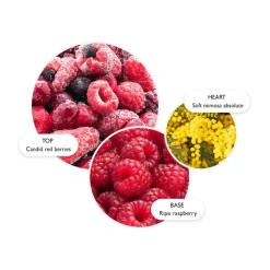 Merry Berries & Mimosa Body Lotion