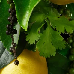 Orange & Bergamot Hand Lotion