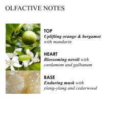 Orange & Bergamot Luxury Scented Candle (Triple Wick)