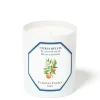Orange Blossom