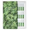 Phytoactive Illuminating Ampoules