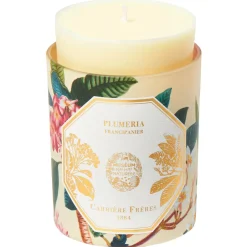Plumeria - Frangipani