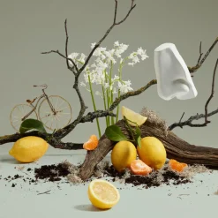 Quercus Eau de Cologne