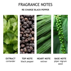 Re-charge Black Pepper Bath & Shower Gel