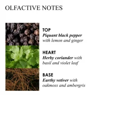 Re-Charge Black Pepper Luxury Scented Candle (Triple Wick)