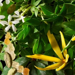 Relaxing Ylang Ylang Bath & Shower Gel