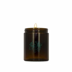 Scented Candle Minze Basilikum
