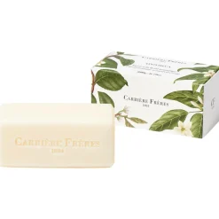 Solid Soaps Apotheca