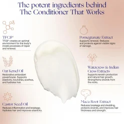 The Conditioner