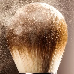 The Powder Brush