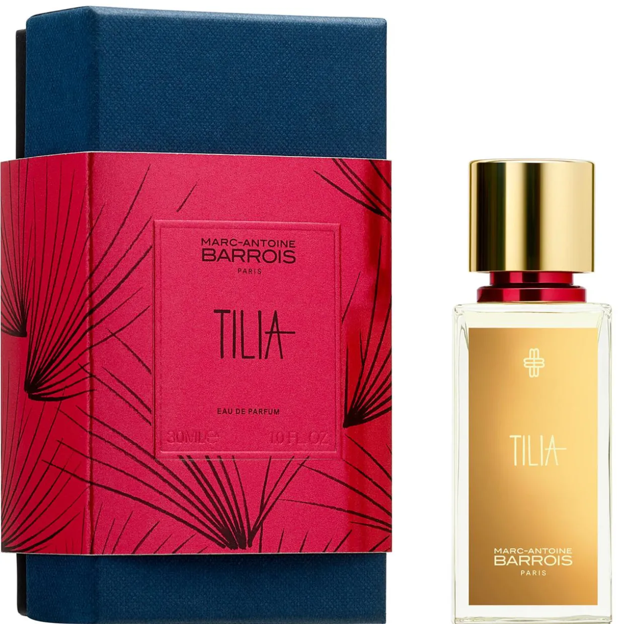 Tilia